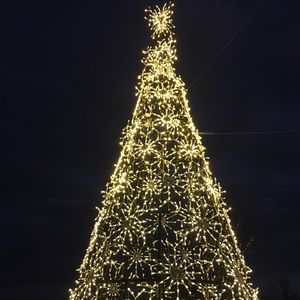 Meet your Posher, Whitney